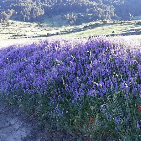 Casa Aldea Holiday home Griegos