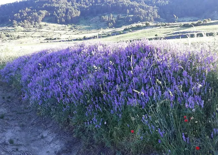 Casa Aldea Holiday home Griegos